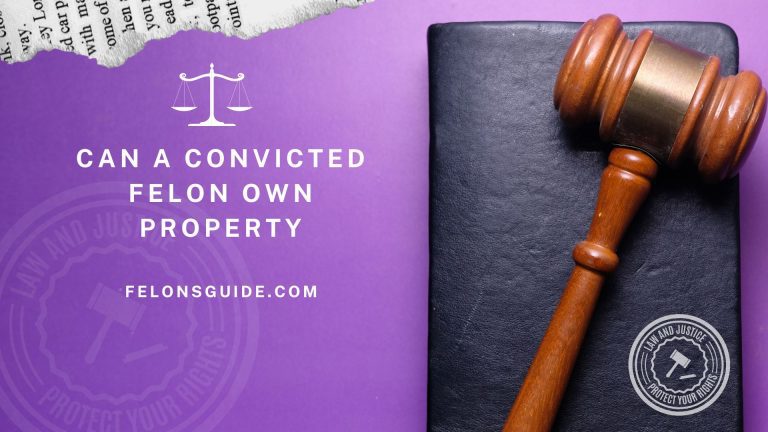 Can a Convicted Felon Own Property