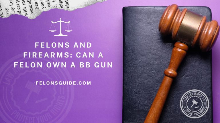 Felons and Firearms: Can a Felon own a bb gun