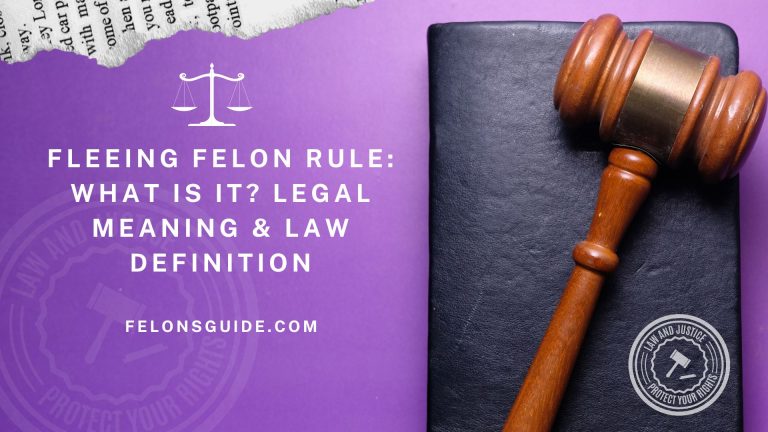 Fleeing Felon Rule: What is it? Legal Meaning & Law Definition